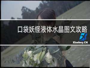 口袋妖怪液体水晶图文攻略