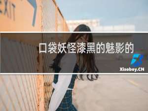 口袋妖怪漆黑的魅影的各个秘传机有什么作用