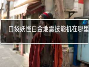 口袋妖怪白金地震技能机在哪里拿