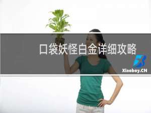 口袋妖怪白金详细攻略
