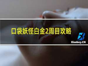 口袋妖怪白金2周目攻略