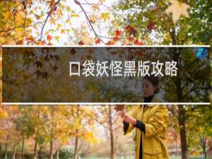 口袋妖怪黑版攻略
