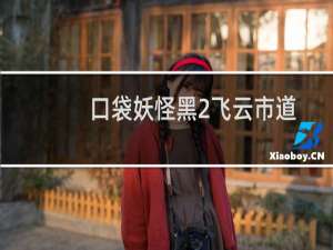 口袋妖怪黑2飞云市道馆攻略