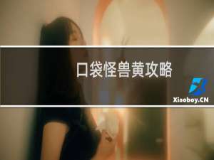 口袋怪兽黄攻略