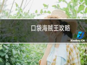 口袋海贼王攻略