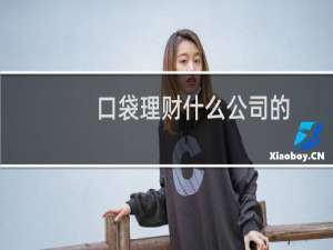 口袋理财什么公司的