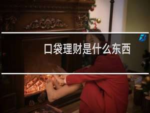 口袋理财是什么东西