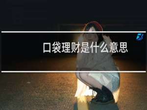 口袋理财是什么意思
