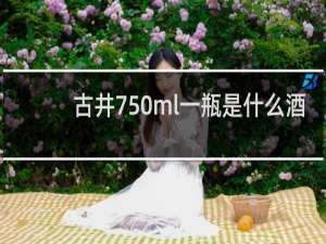 古井750ml一瓶是什么酒