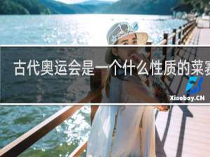 古代奥运会是一个什么性质的菜赛会