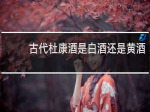 古代杜康酒是白酒还是黄酒