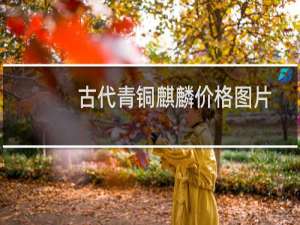 古代青铜麒麟价格图片