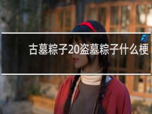 古墓粽子 盗墓粽子什么梗