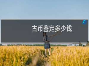 古币鉴定多少钱