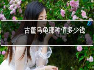 古董乌龟那种值多少钱