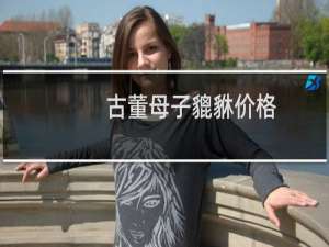 古董母子貔貅价格