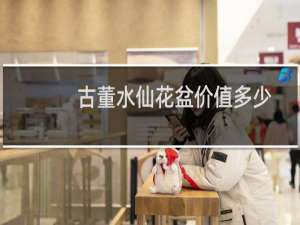 古董水仙花盆价值多少
