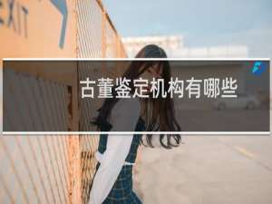 古董鉴定机构有哪些