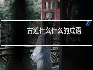 古道什么什么的成语