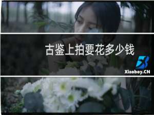 古鉴上拍要花多少钱