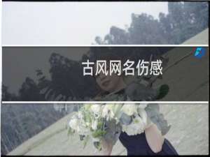 古风网名伤感