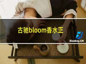 古驰bloom香水正品查询（古驰bloom香水真假对比）