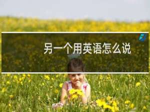 另一个用英语怎么说