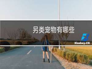 另类宠物有哪些