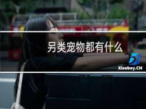 另类宠物都有什么