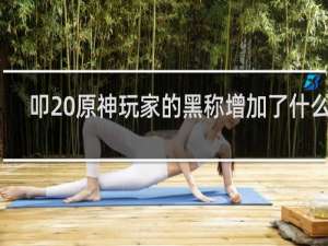 叩 原神玩家的黑称增加了什么梗