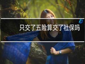 只交了五险算交了社保吗