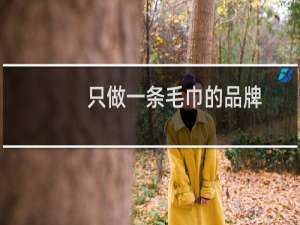 只做一条毛巾的品牌