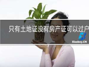 只有土地证没有房产证可以过户吗