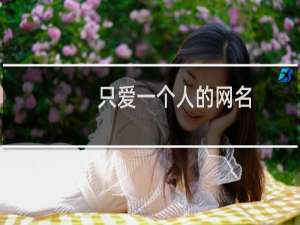 只爱一个人的网名