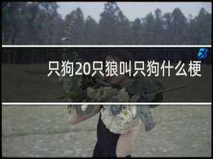 只狗 只狼叫只狗什么梗