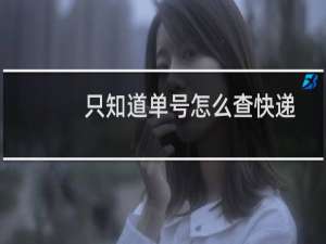 只知道单号怎么查快递
