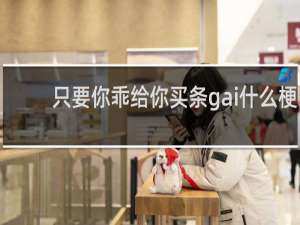 只要你乖给你买条gai什么梗