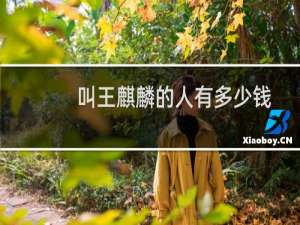 叫王麒麟的人有多少钱