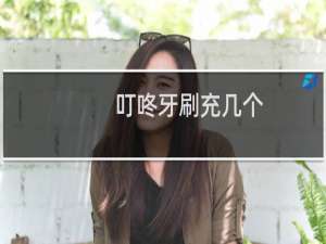 叮咚牙刷充几个