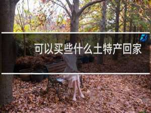 可以买些什么土特产回家