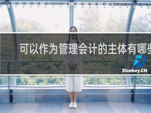 可以作为管理会计的主体有哪些