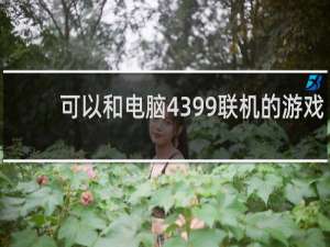 可以和电脑4399联机的游戏