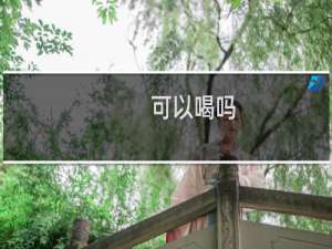 可以喝吗