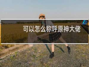可以怎么称呼原神大佬