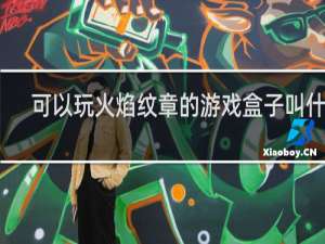 可以玩火焰纹章的游戏盒子叫什么