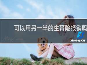 可以用另一半的生育险报销吗