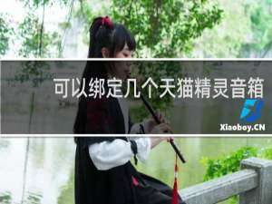 可以绑定几个天猫精灵音箱