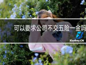 可以要求公司不交五险一金吗