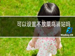 可以设置不放菜鸟驿站吗
