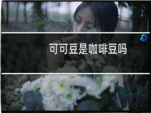 可可豆是咖啡豆吗